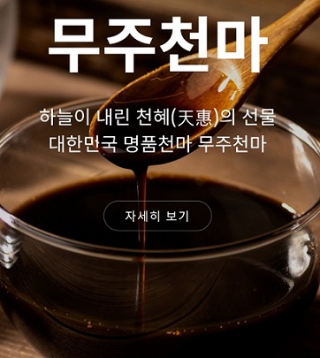 무주천마