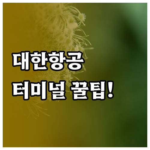 대한항공 인천공항 제2터미널 위치 및..