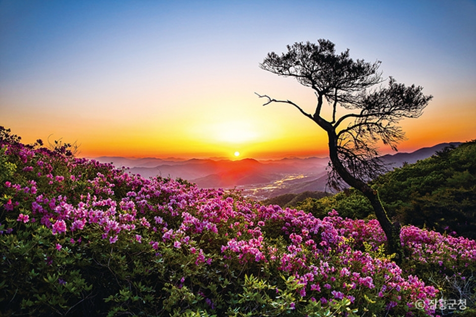 2024 가을 여행지 단풍 명소 추천