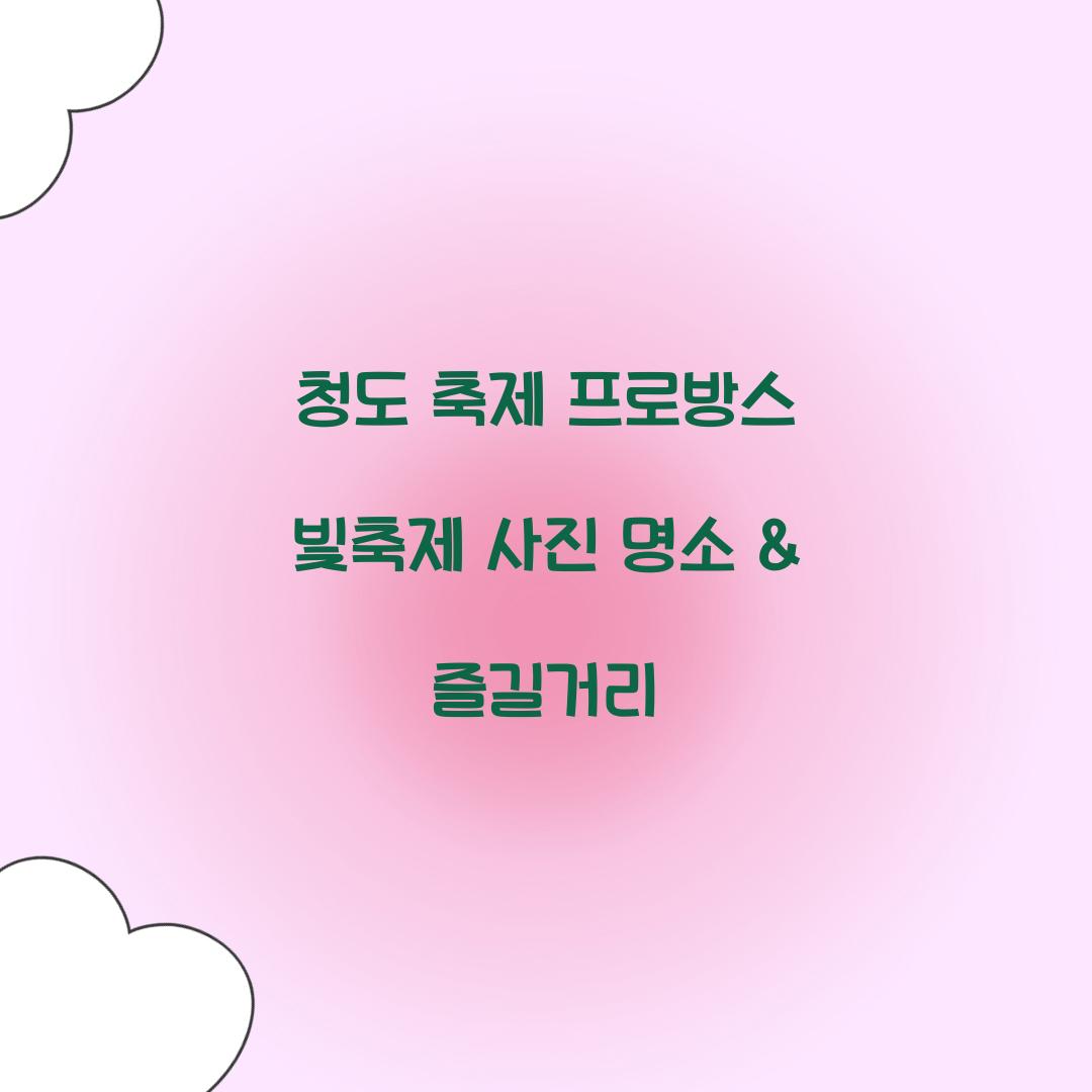 청도 축제 프로방스 빛축제