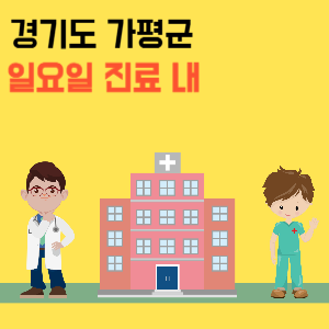 경기도 가평군 일요일 내과 진료 병원 리스트