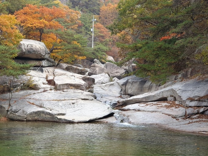 충북 단풍명소 TOP5 ❘ 가볼만한 곳 여행 추천 관련 사진