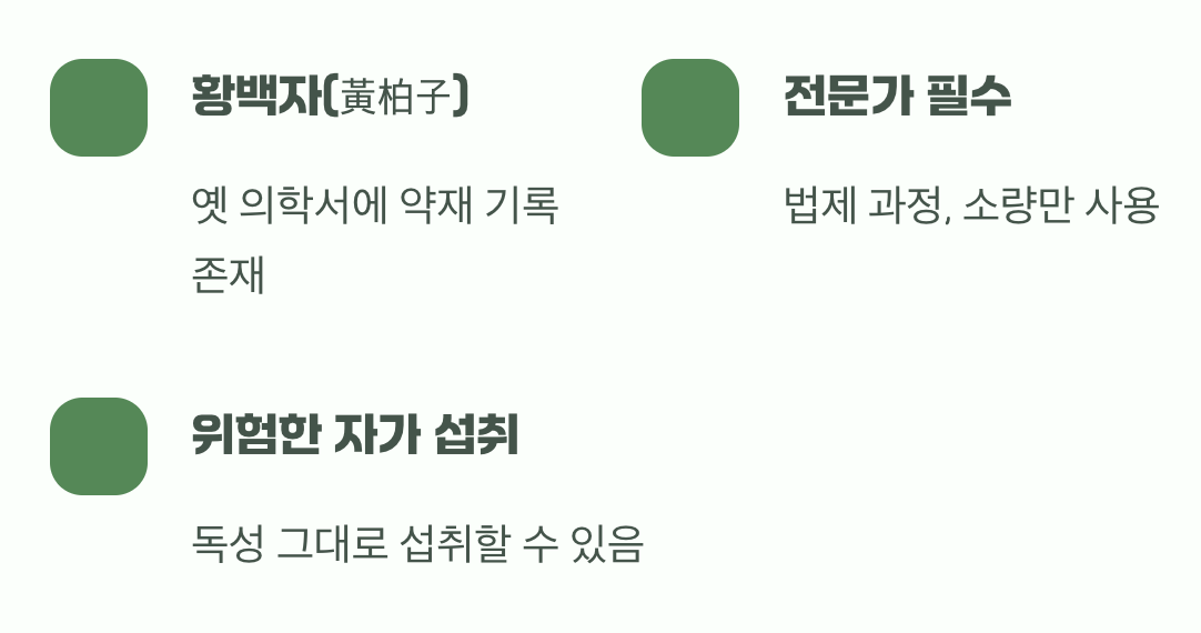 열매, 약이 될까 독이 될까?