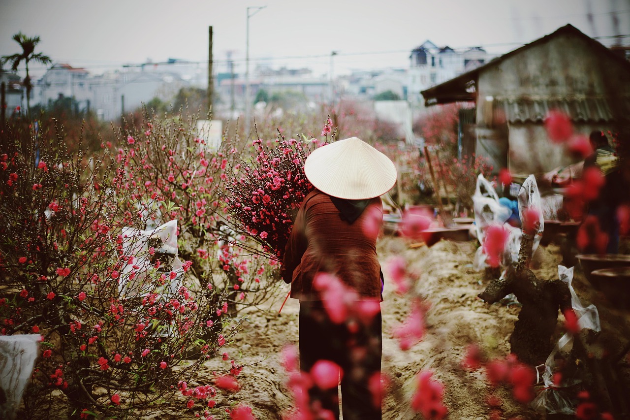하노이 여행코스 추천|2025년 최신 일정 & 맛집 정보 총정리