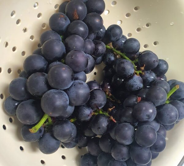 바구니에-담긴-포도-두송이