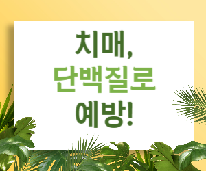 치매 예방, 핵심은 단백질 섭취!