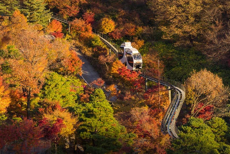 화담숲과-모노레일