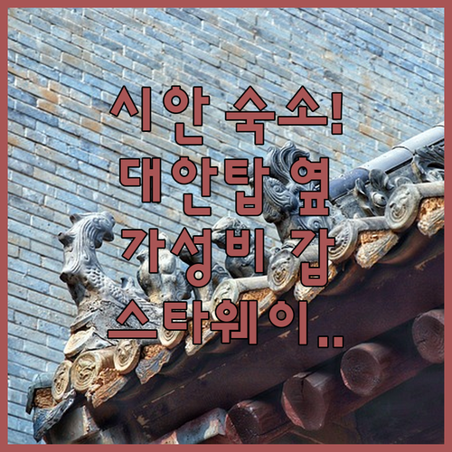 중국 시안 대당불야성 대안탑 근처 스..