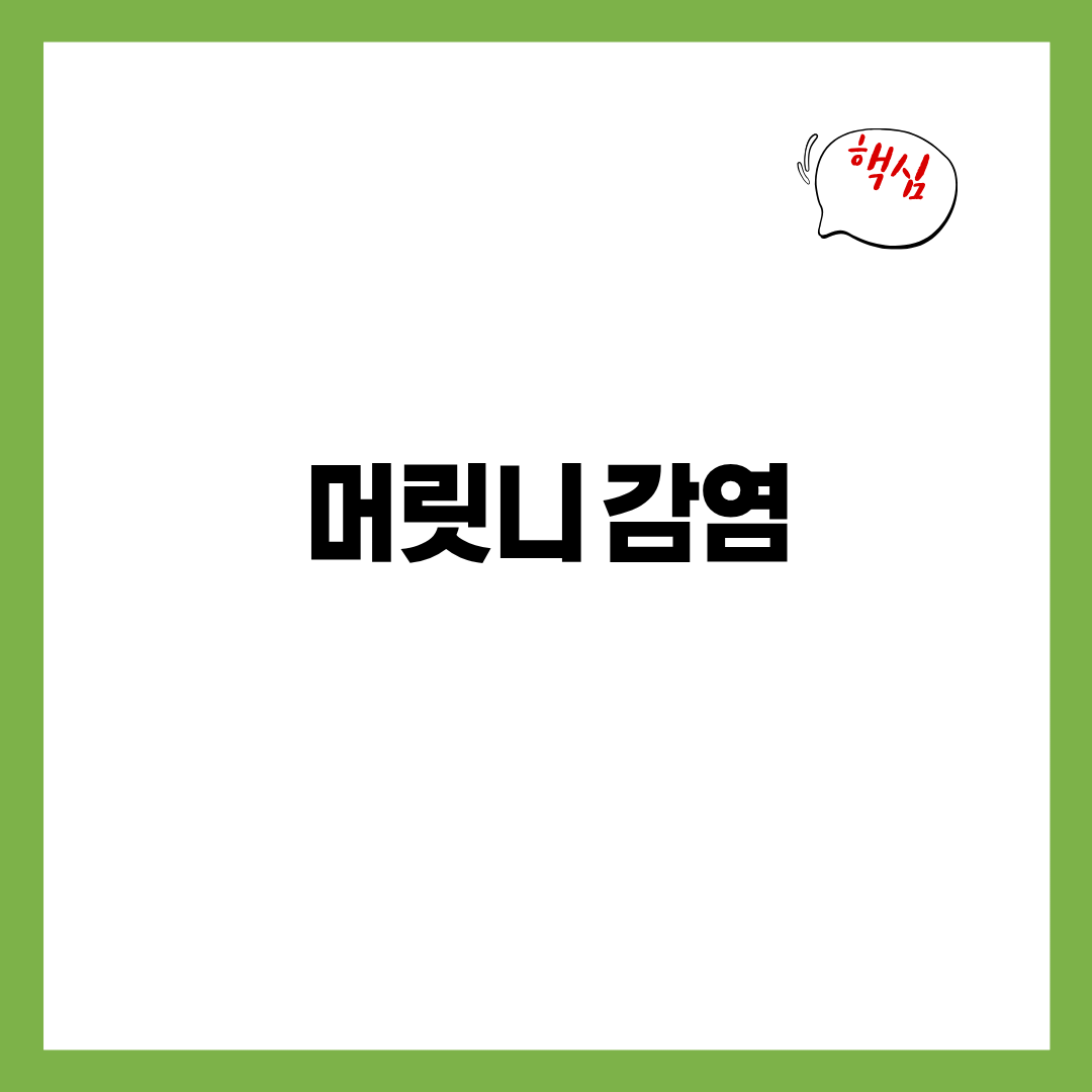 머릿니 감염 완전 가이드 - 원인·증상·치료·예방까지 한 번에 정리