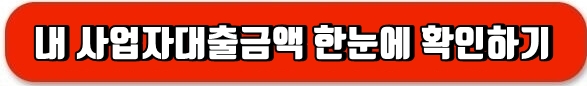 사업자대출확인바로가기