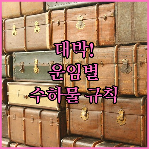 그레이터베이항공 운임별 수하물 규칙 ..