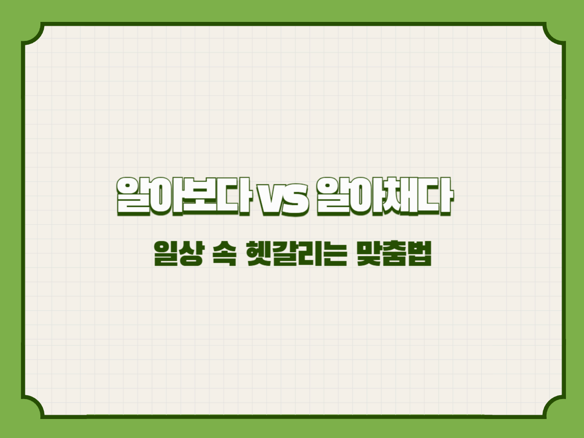 알아보다 vs 알아채다 – 일상 속 헷갈리는 맞춤법