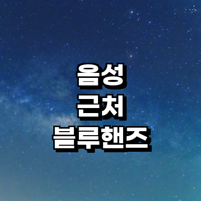 음성군 블루핸즈