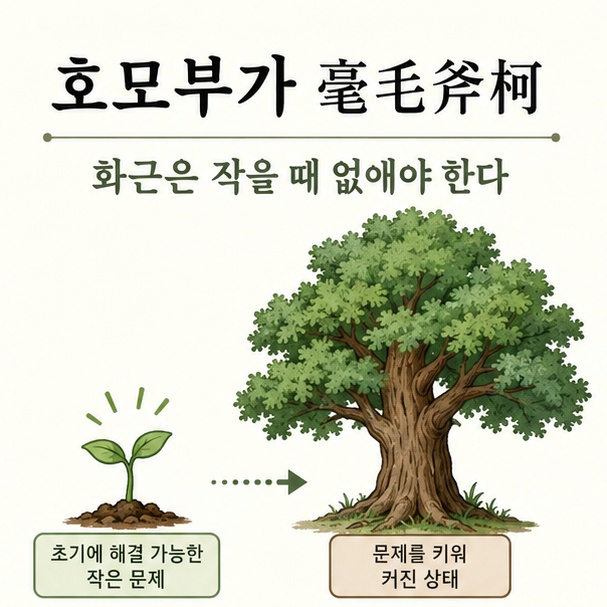 작은 나무가 큰 나무로 자라는 모습을 통해 화근은 작을 때 제거해야 한다는 호모부가 뜻을 설명한 이미지