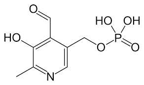 피리독신