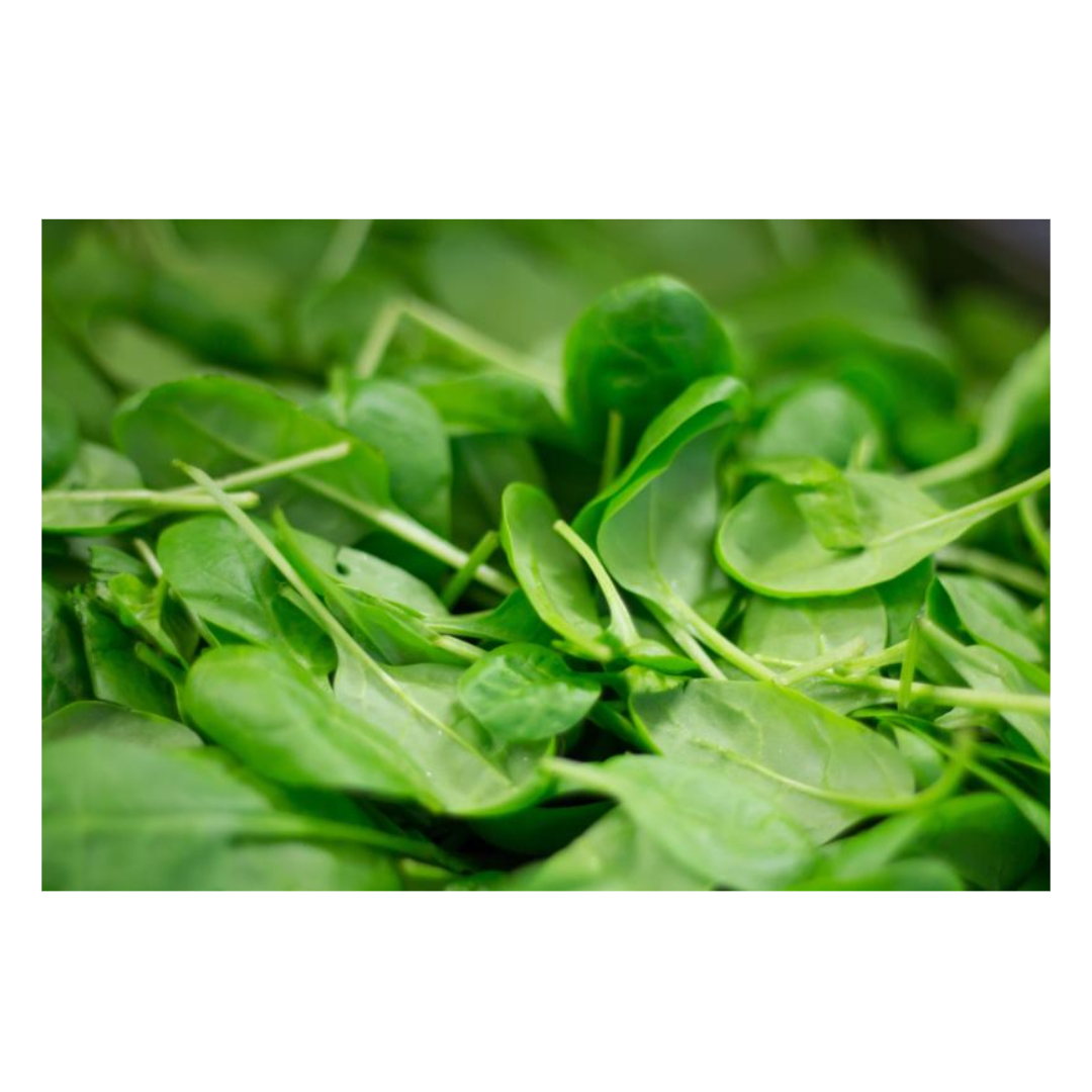 코큐텐과 관련된 사진입니다.