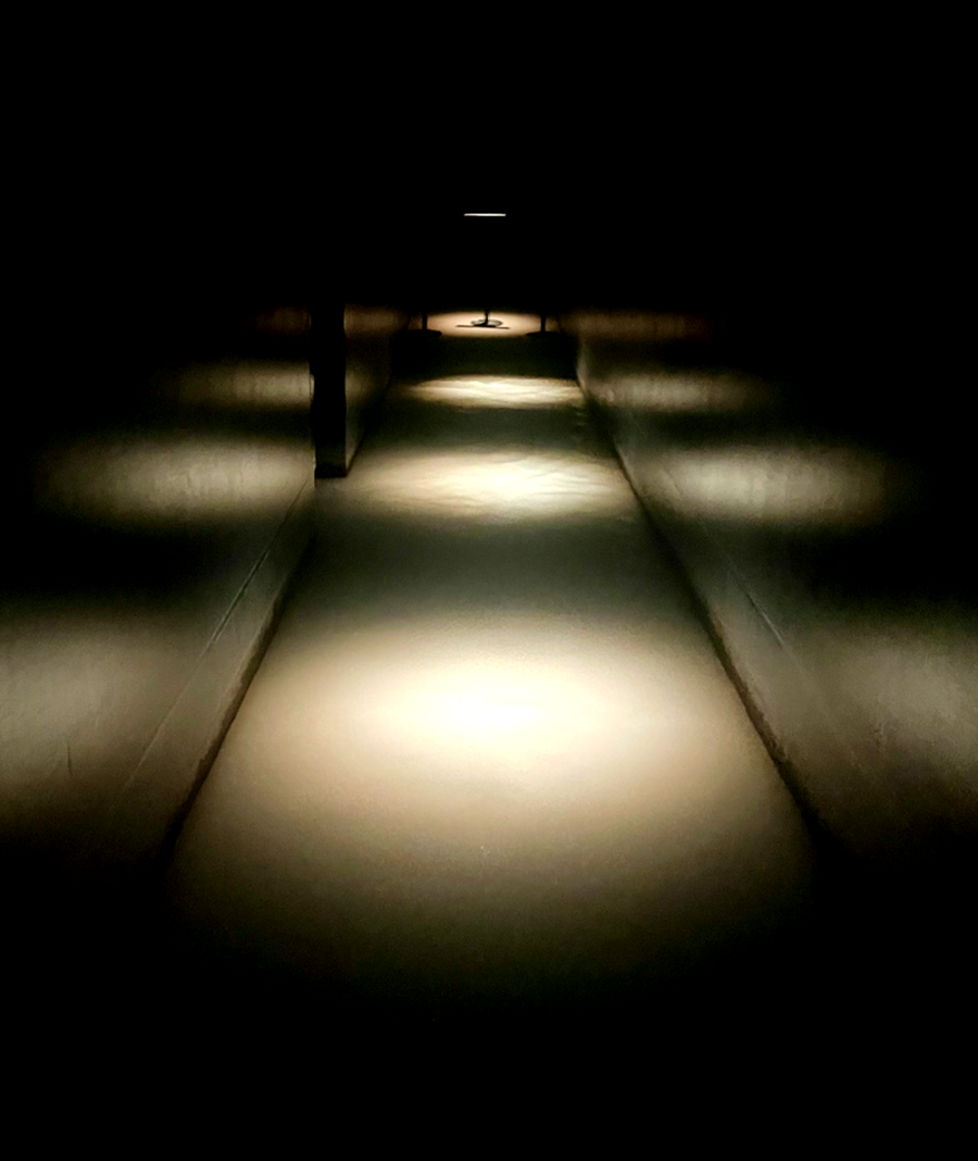 일본 도쿄 팀랩 플래닛 여행-사람과 함께 춤추는 잉어가 그리는 수면 위의 드로잉