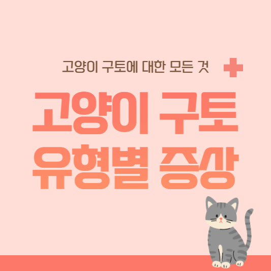 고양이구토