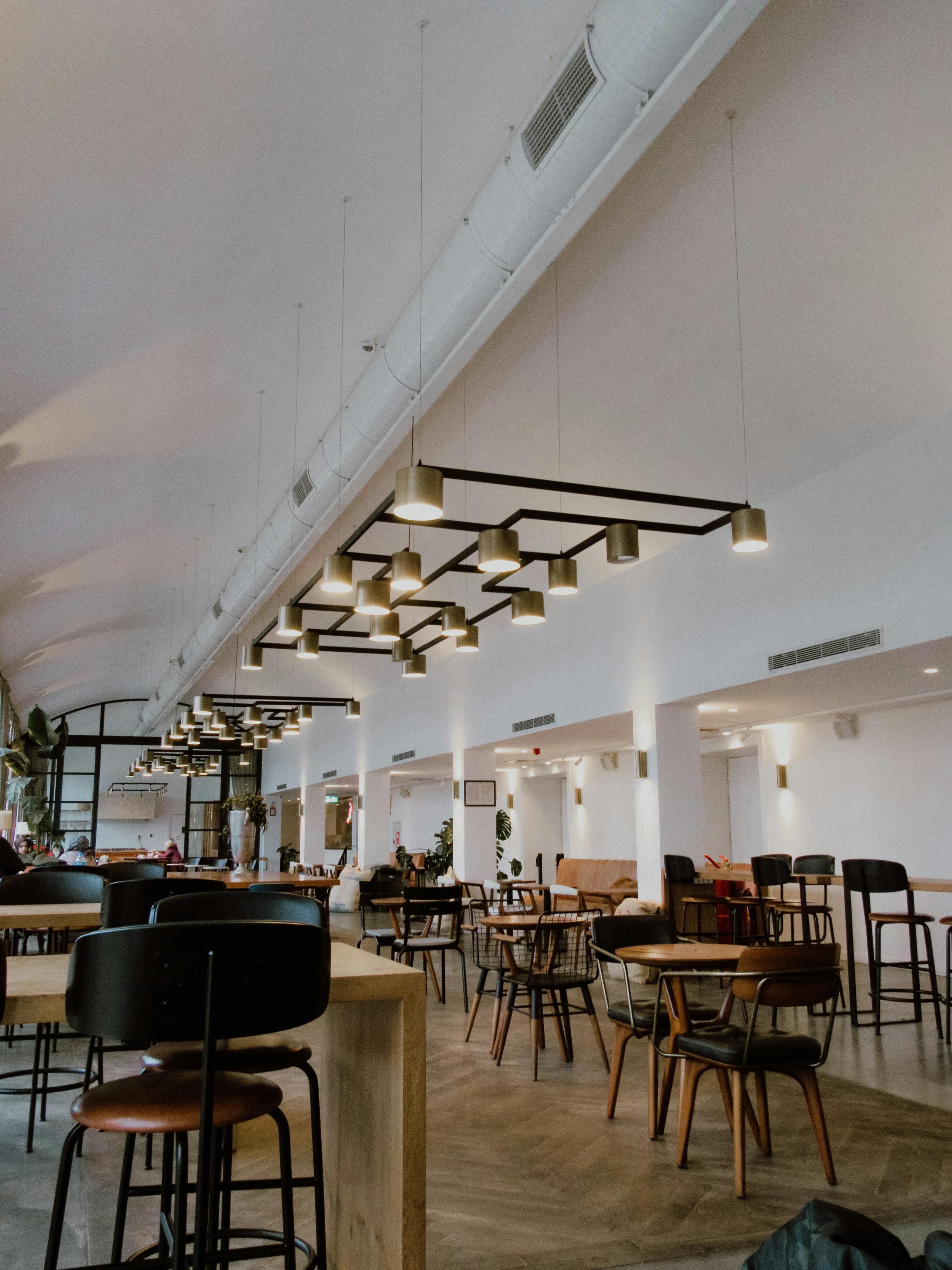 "터키항공 이코노미와 비즈니스 후기: 안전성, 서비스, 진짜 경험담 총 정리!"