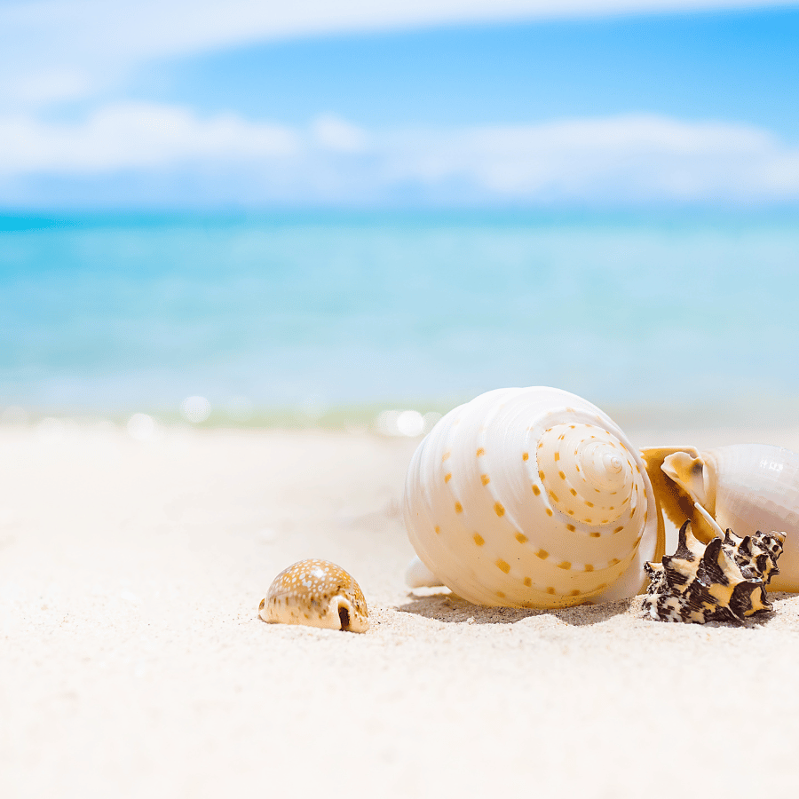 인천 영종도 &ndash; 크리스마스 마켓과 해변 감성으로 물든 겨울 여행