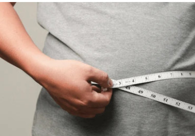 유로바디 베르가못