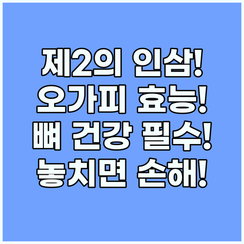 오가피 효능 제2의 인삼으로 불리는 ..