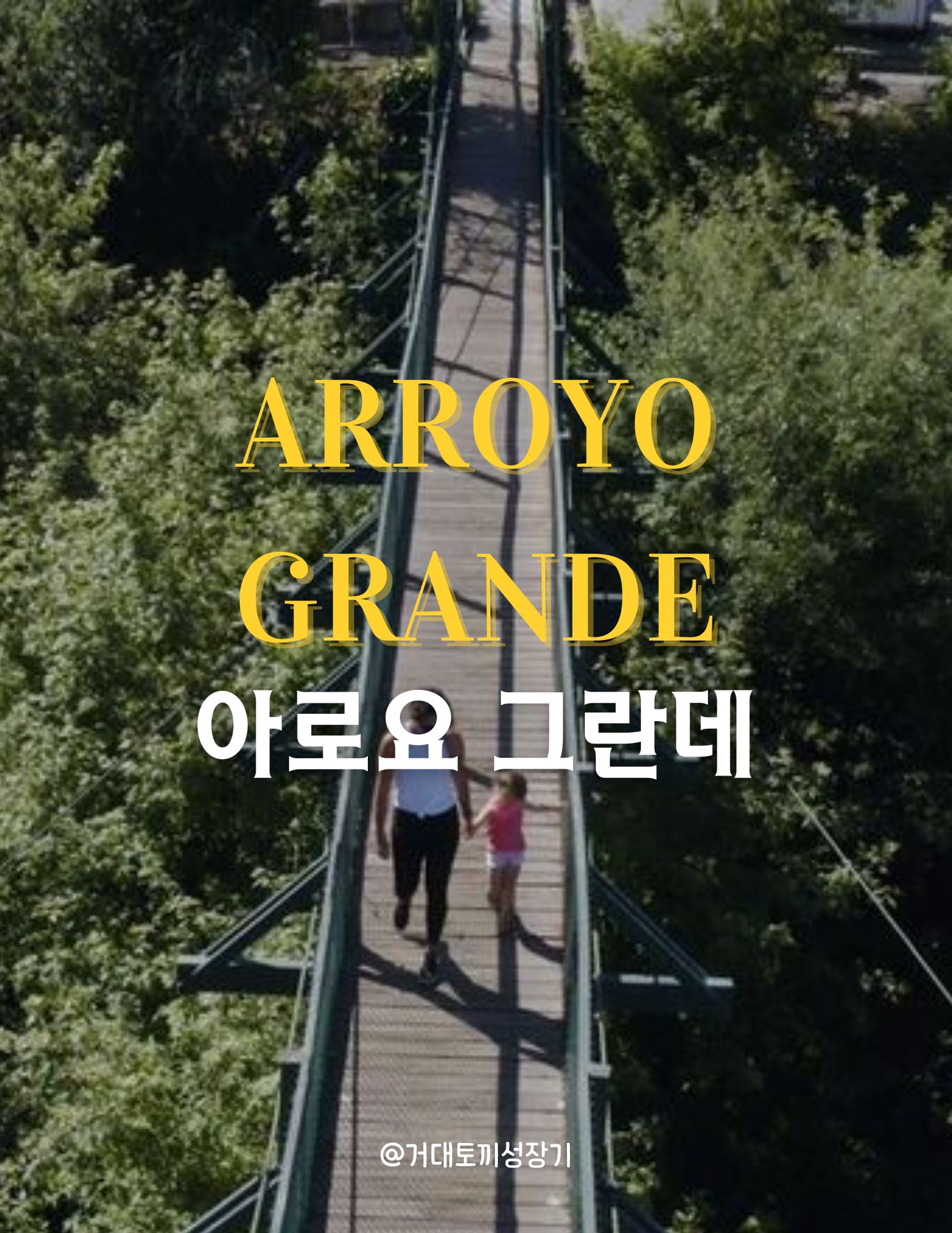 아로요 그란데 포스터