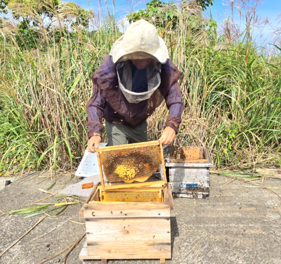 제주아이비타허니연구소 송악꽃꿀