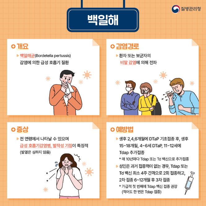 백일해 소개, 감염경로, 증상, 예방법