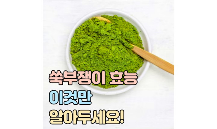 쑥부쟁이 효능 썸네일