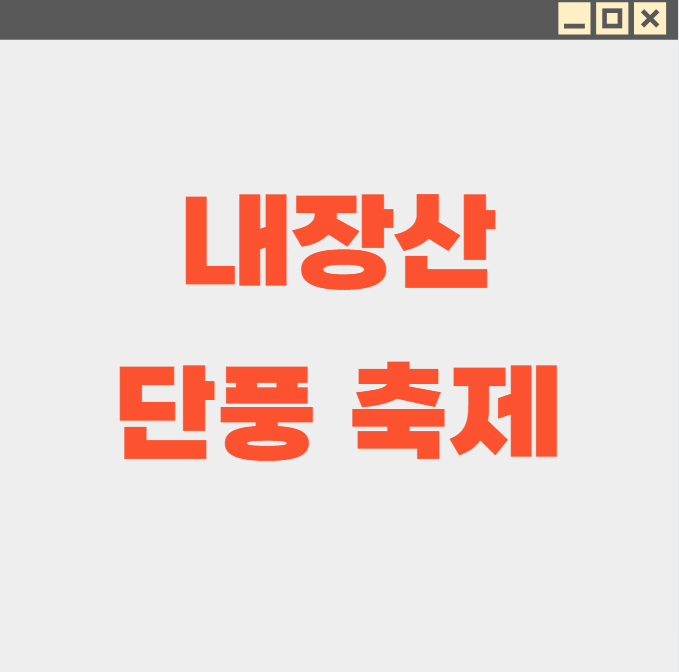 내장산 단풍축제 놓치면 후회하는 3가지
