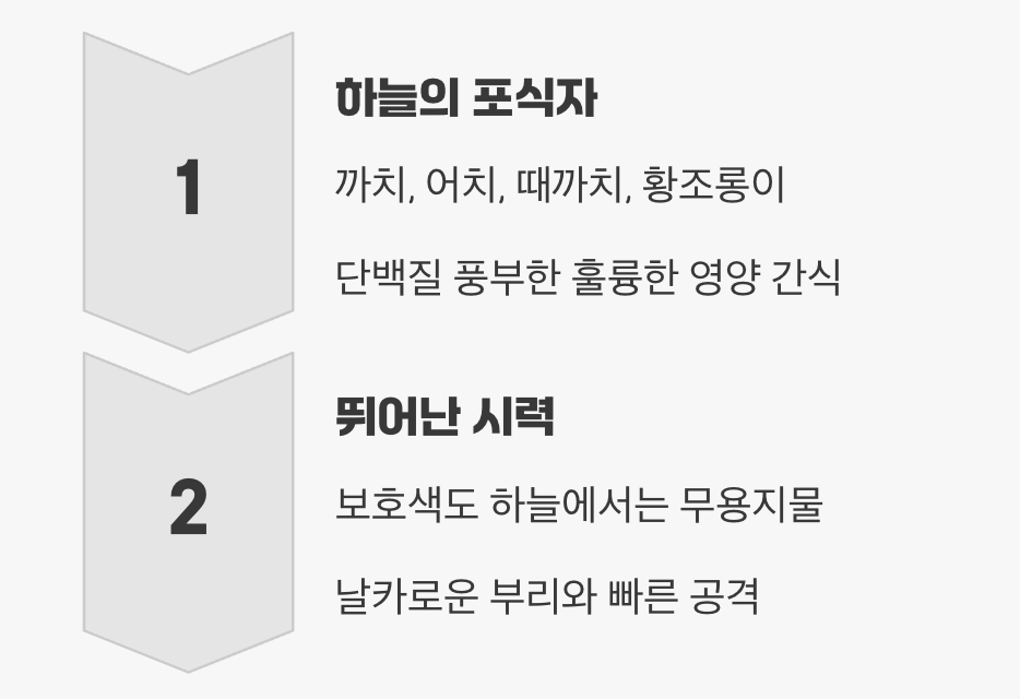 하늘에서 덮치는 위협, 새