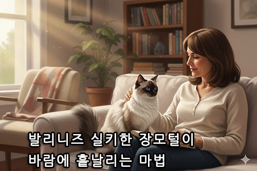 발리니즈 실키한 장모털이 바람에 흩날리는 마법