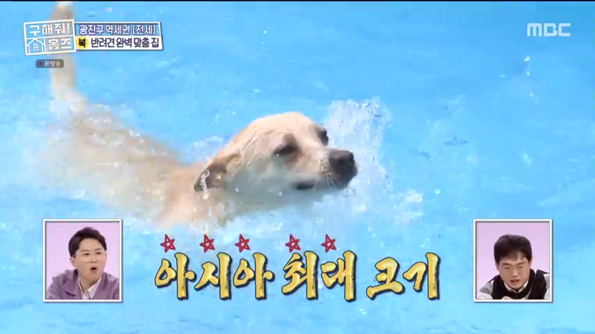구해줘홈즈 댕댕하우스 동물병원 인접 서울시 광진구 중곡동 전세 매매 매물 가격 및 구조 인테리어 리모델링 최종선택 더보이즈 영훈 현재 소개
