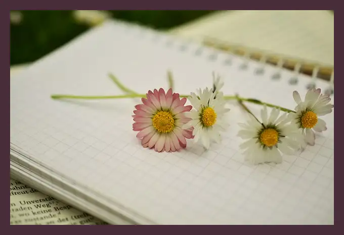 작별하지 않는다 줄거리