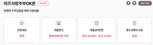 미즈사랑-주부OK론-정보