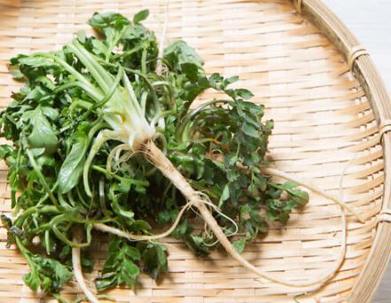 3월 제철 음식&amp;#44; 식재료&amp;#44; 해산물&amp;#44; 과일&amp;#44; 달래&amp;#44; 씀바귀&amp;#44; 쑥&amp;#44; 소라&amp;#44;