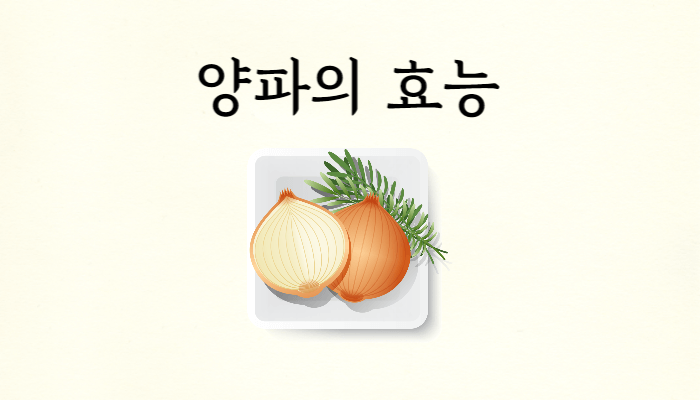 양파의효능 썸네일