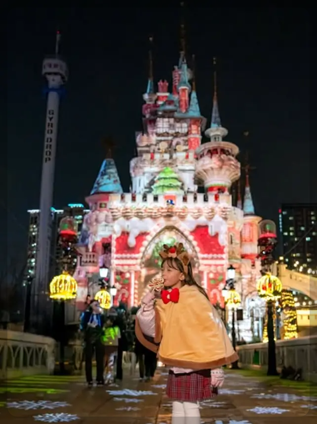 롯데월드 놀이기구 제한사항