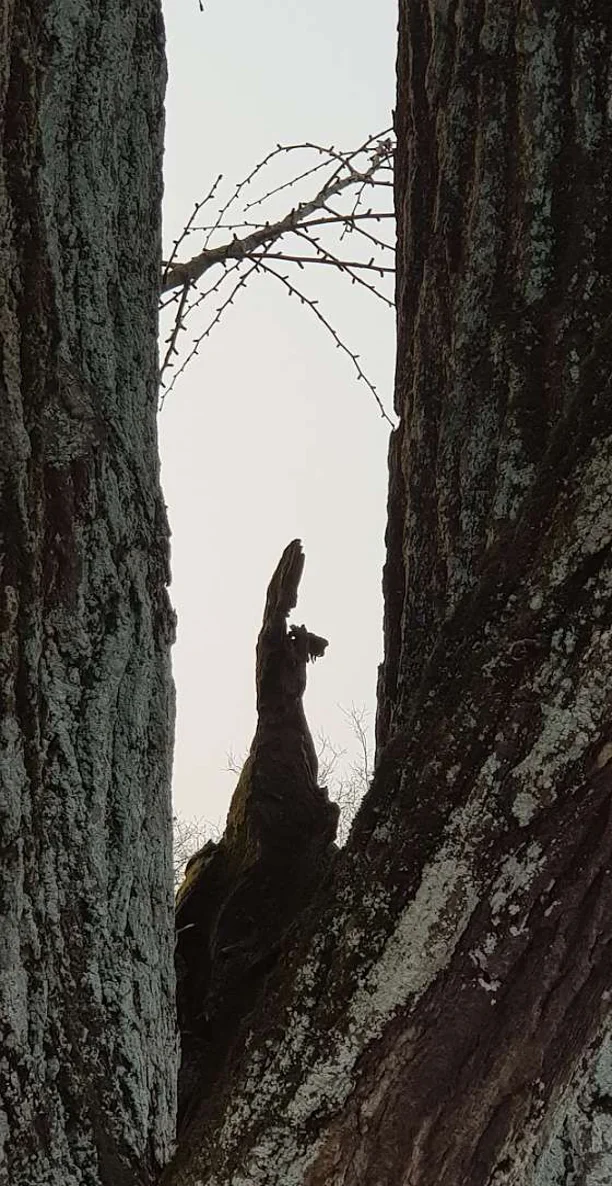 신륵사 템플스테이