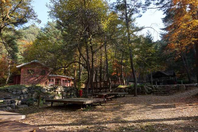 숲나들e 예약 방법부터 추천 캠핑장까지! 2025년 완전정리