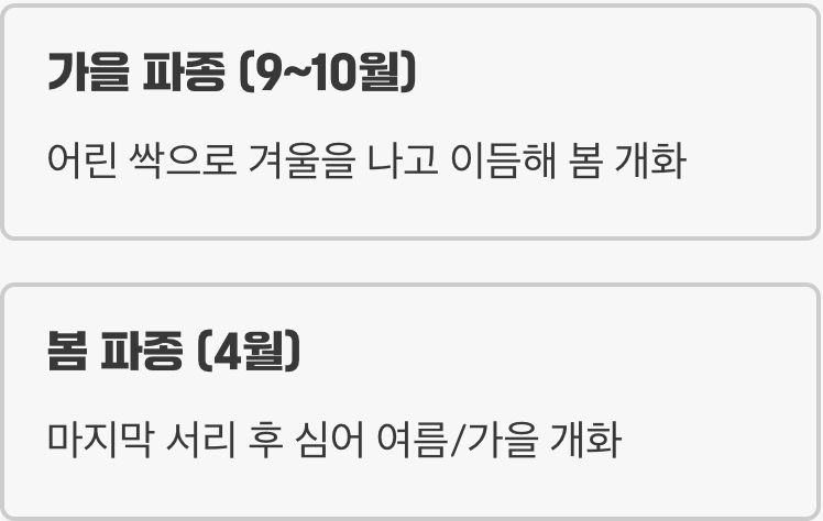 씨앗의 첫 숨결&amp;#44; 파종의 타이밍