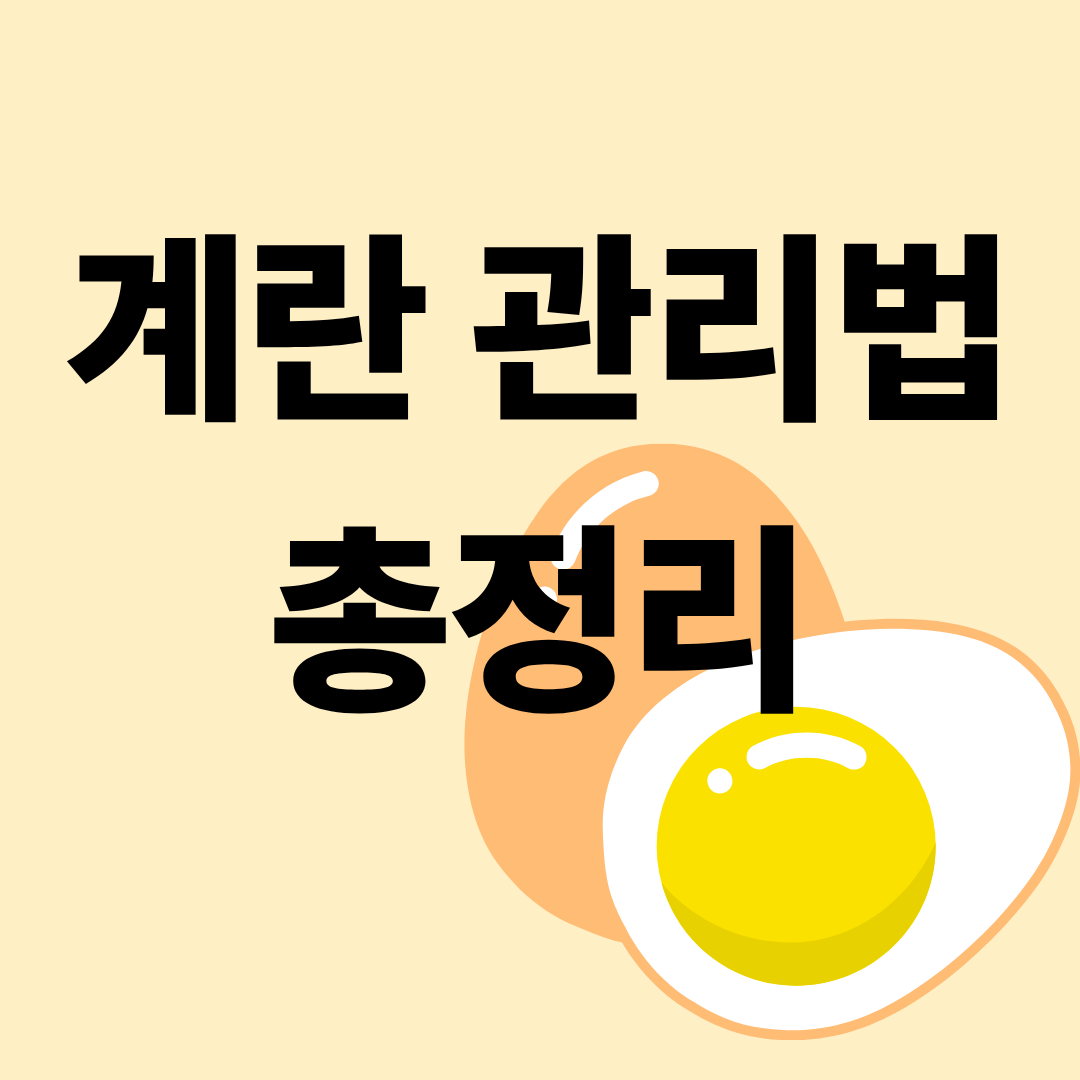 계란 관리법 총정리! 신선하게 오래 보관하는 방법부터 소비기한까지