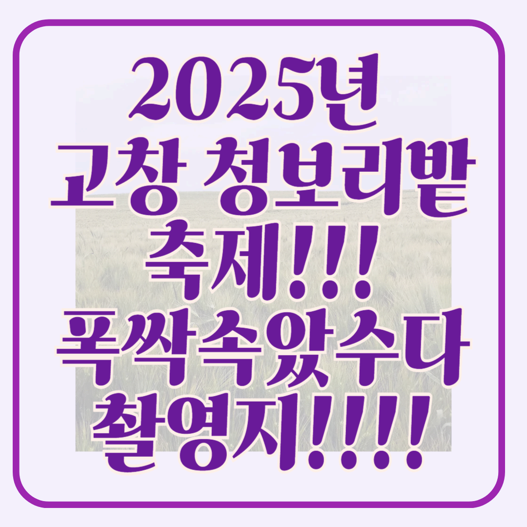 2025 고창청보리밭 축제 도깨비, 폭싹속았수다 촬영지 고창청보리밭 축제
