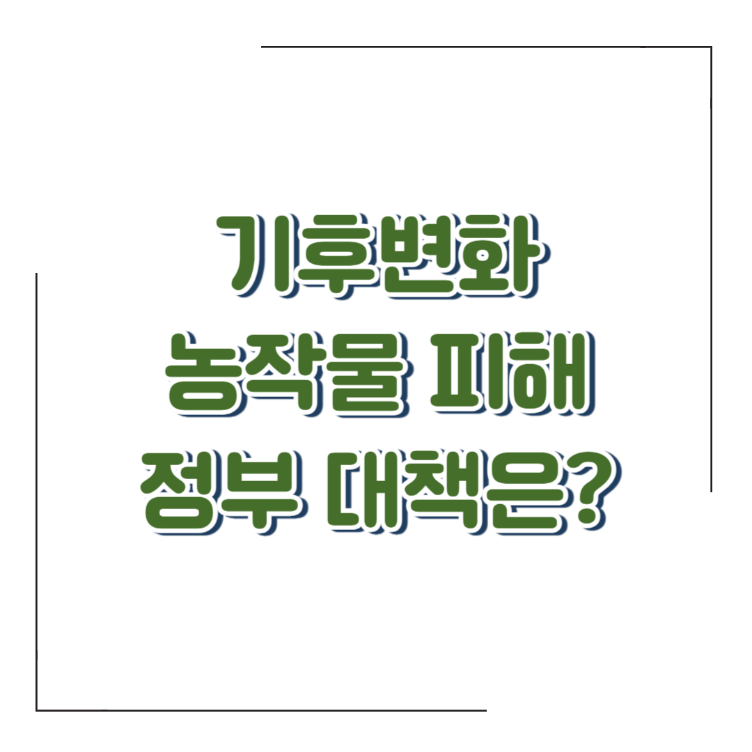 기후변화 직격탄 맞은 농촌... 농작물 피해 증가, 정부 대책은?