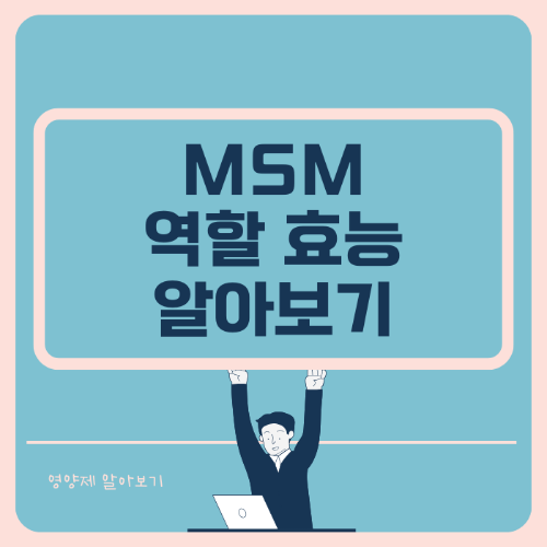 MSM 체내 역할과 효능 부작용 알아보기 썸네일