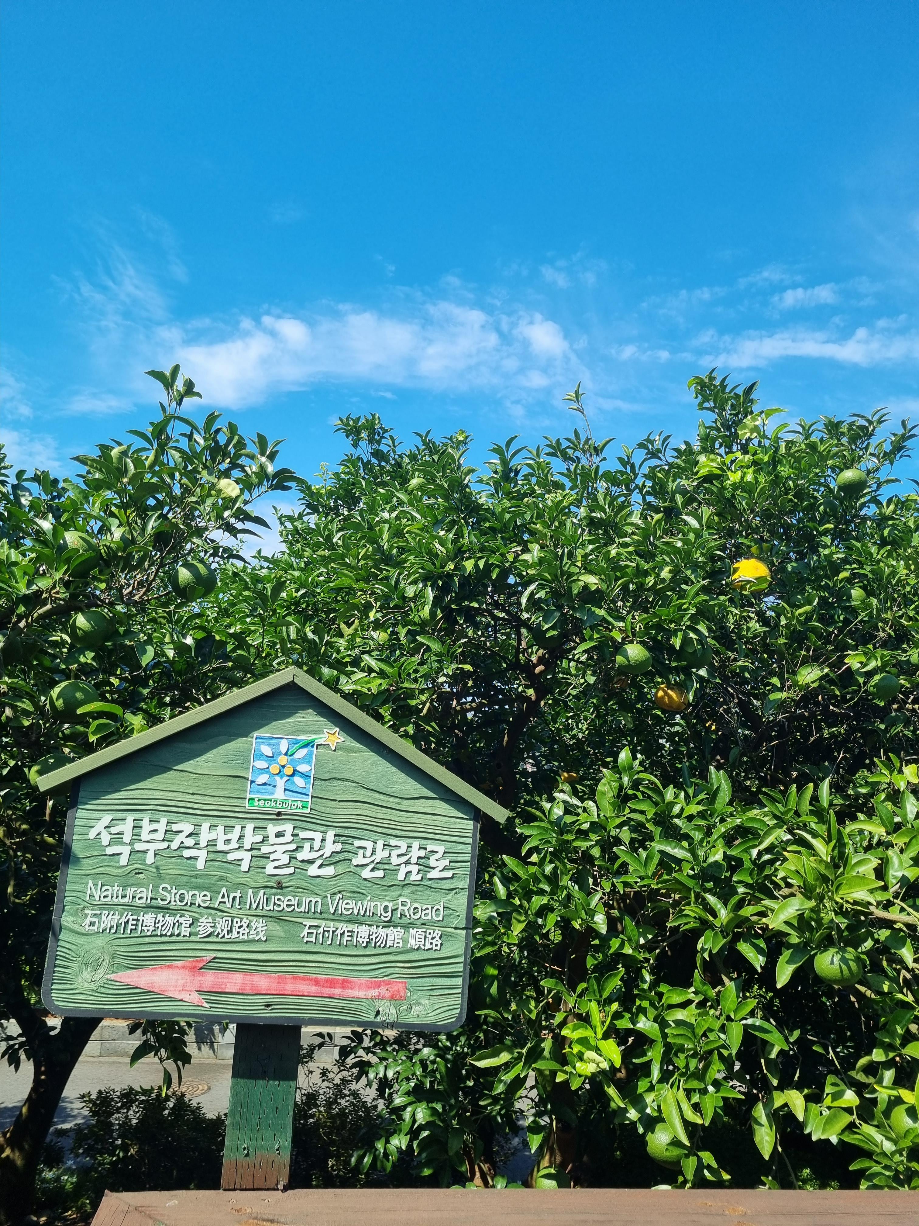 숨도