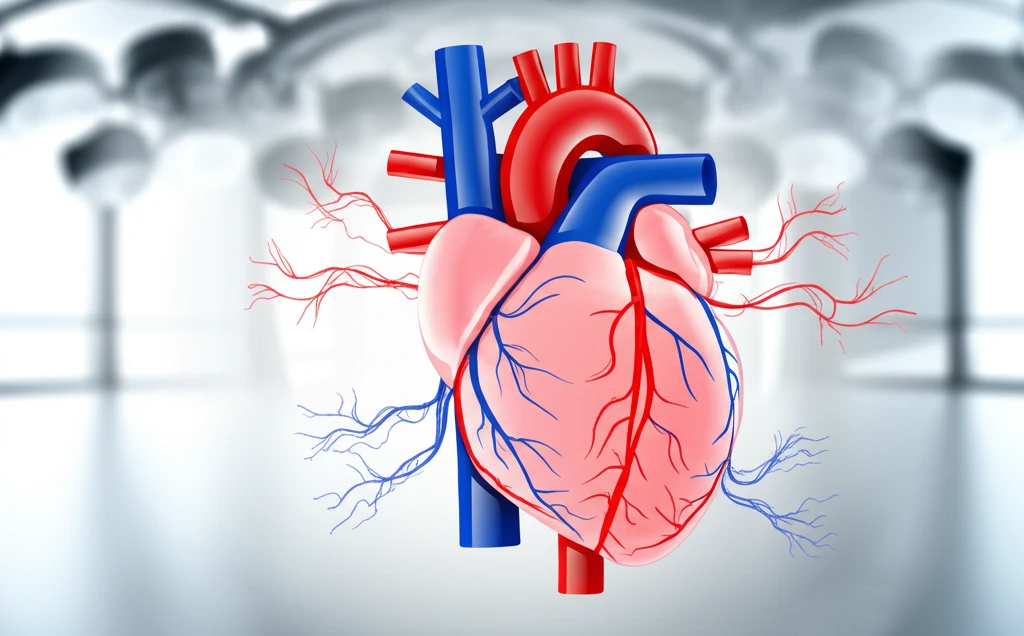 불규칙한 심장 박동 부정맥 종류와 맞