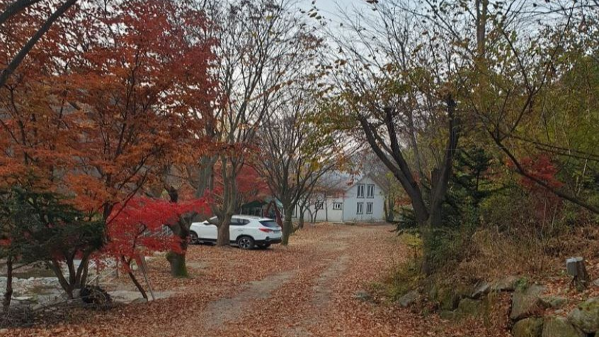 김천 옥당걸숲속관광농원