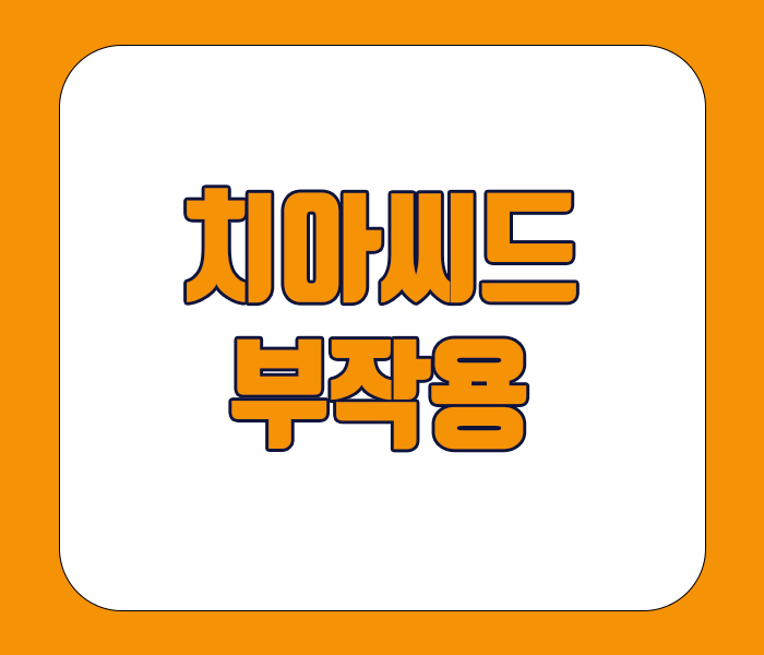 치아씨드 부작용 - 알레르기, 위장장애, 특정 약물복용